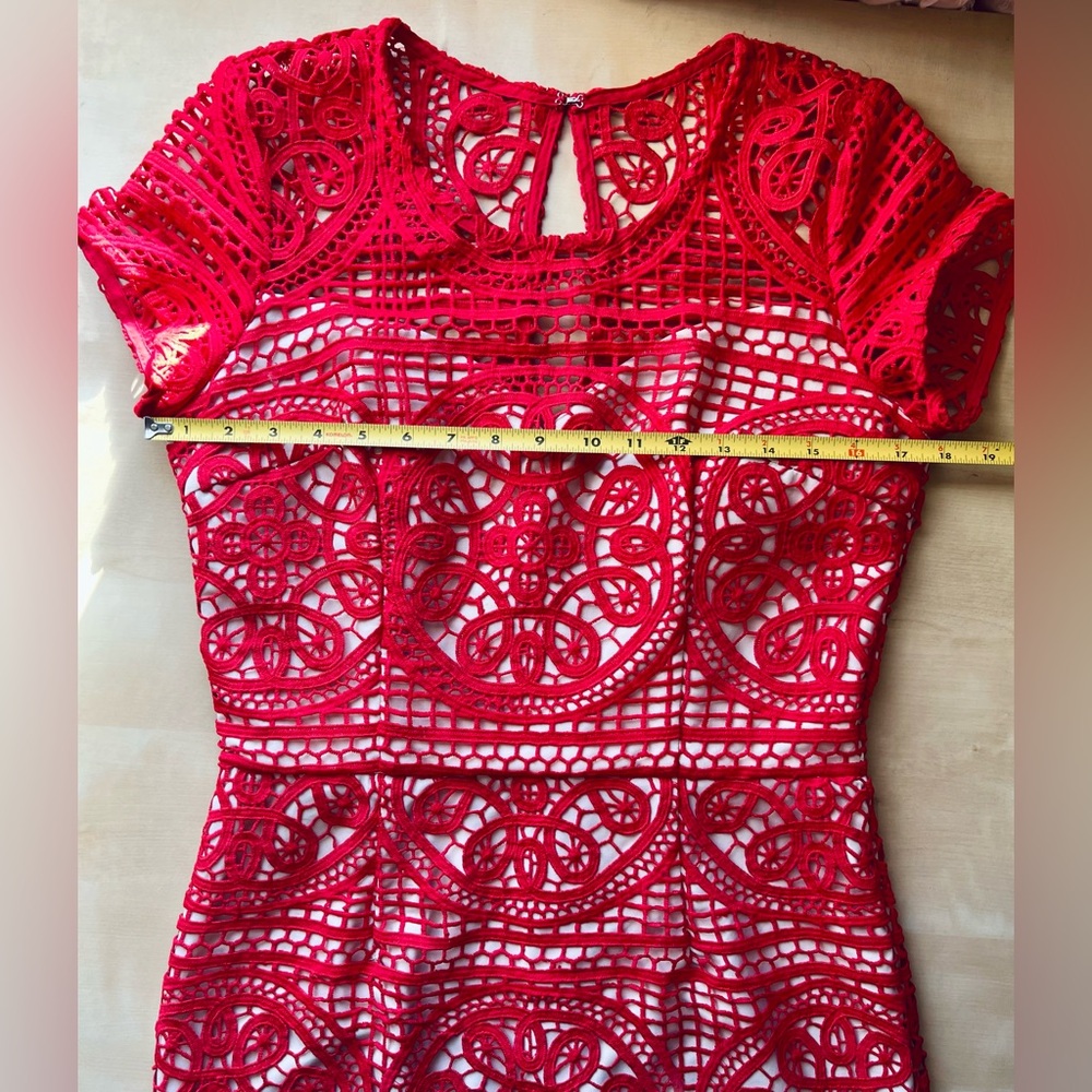 Red Lace Illusion Mini Sheath Dress Size 8 Date Night Wedding guest, Cocktail - Picture 5 of 11